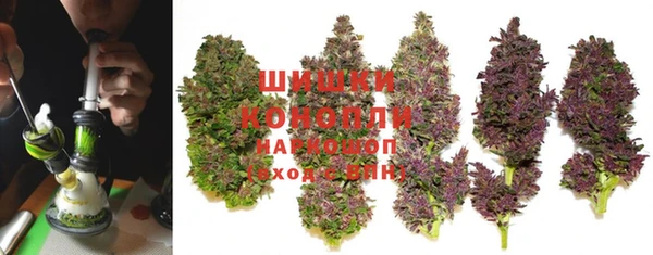 молекула духа Пенза