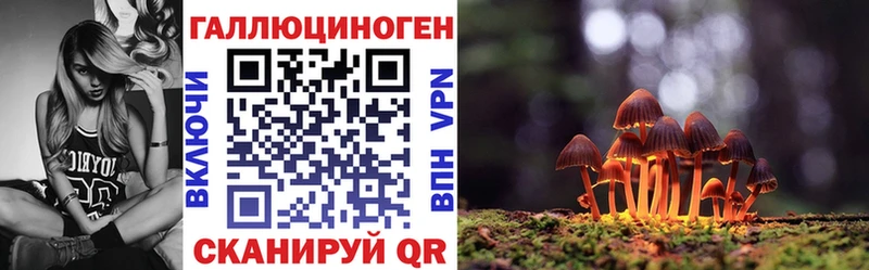 как найти закладки  Аргун  Псилоцибиновые грибы Psilocybe 