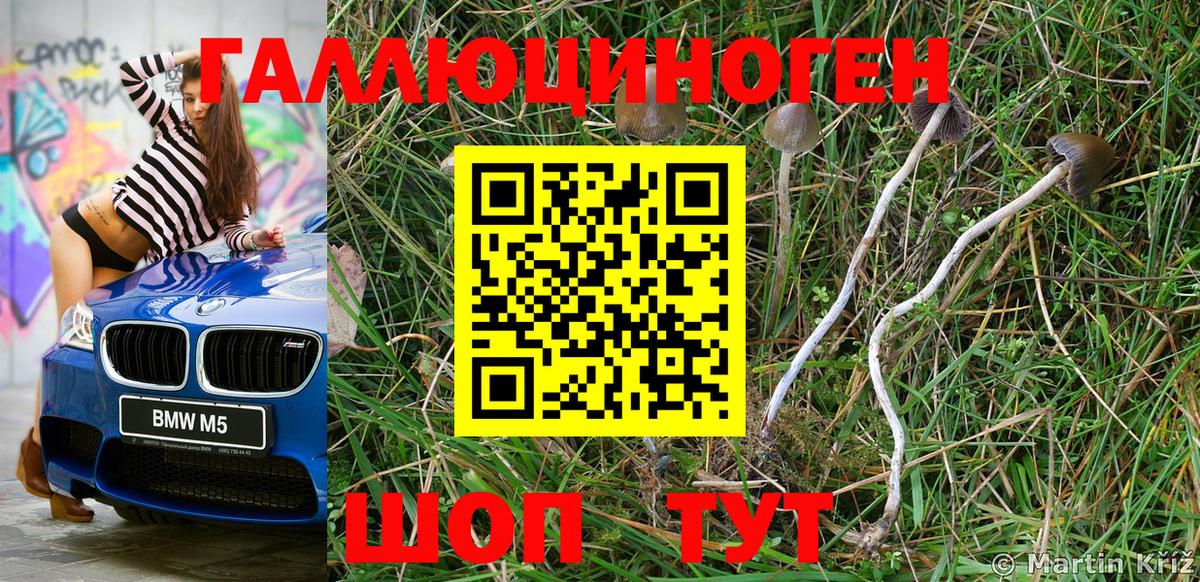 Псилоцибиновые грибы Magic Shrooms  Псилоцибиновые грибы мухоморы  Аргун 