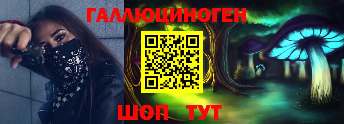 Галлюциногенные грибы Psilocybe  купить наркоту  Аргун  Вход с VPN 